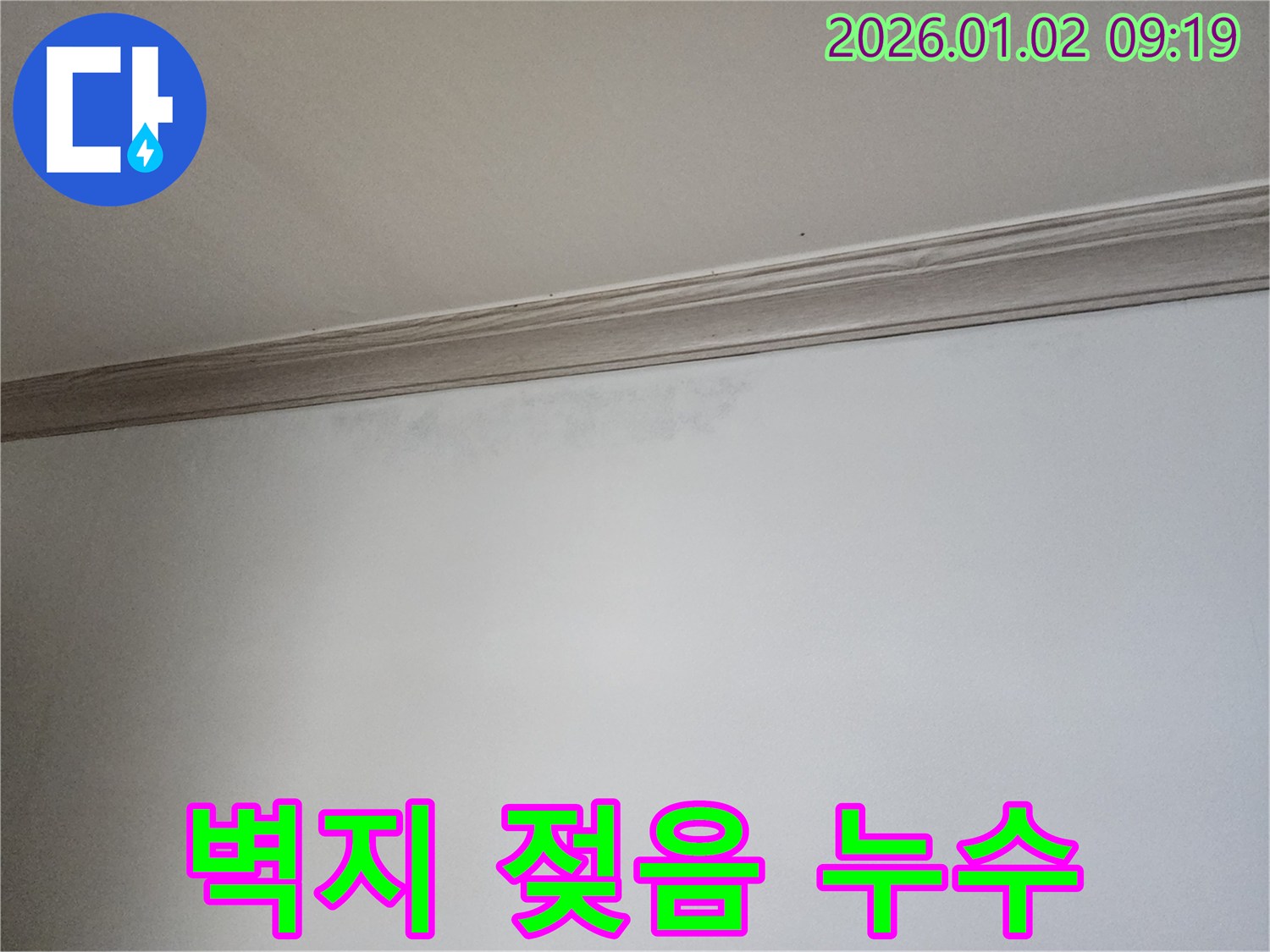 상계동 벽지 젖음 - 누수 가능성 매우 높음