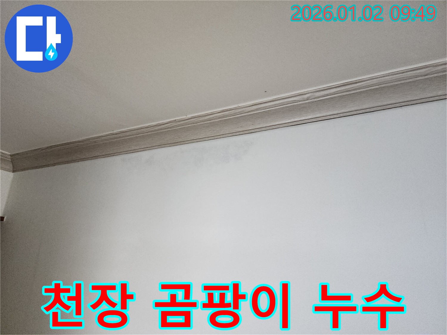 상계동 천장 곰팡이 - 누수 해결이 우선입니다