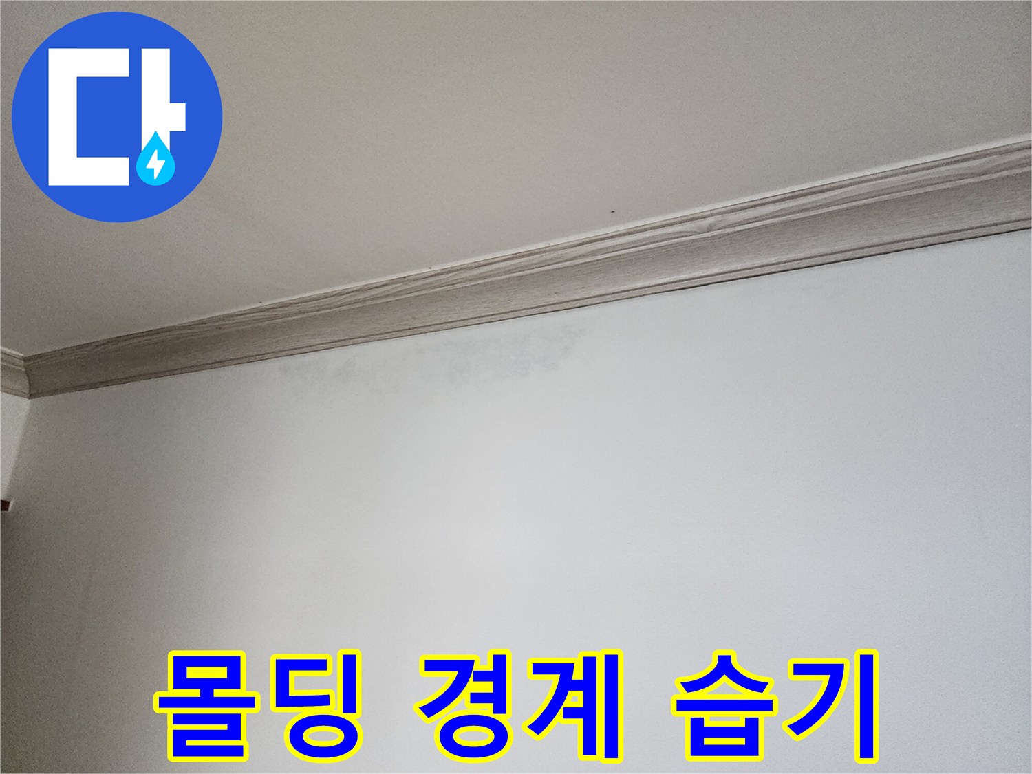 천장-과-벽면-사이의-습윤한-상태