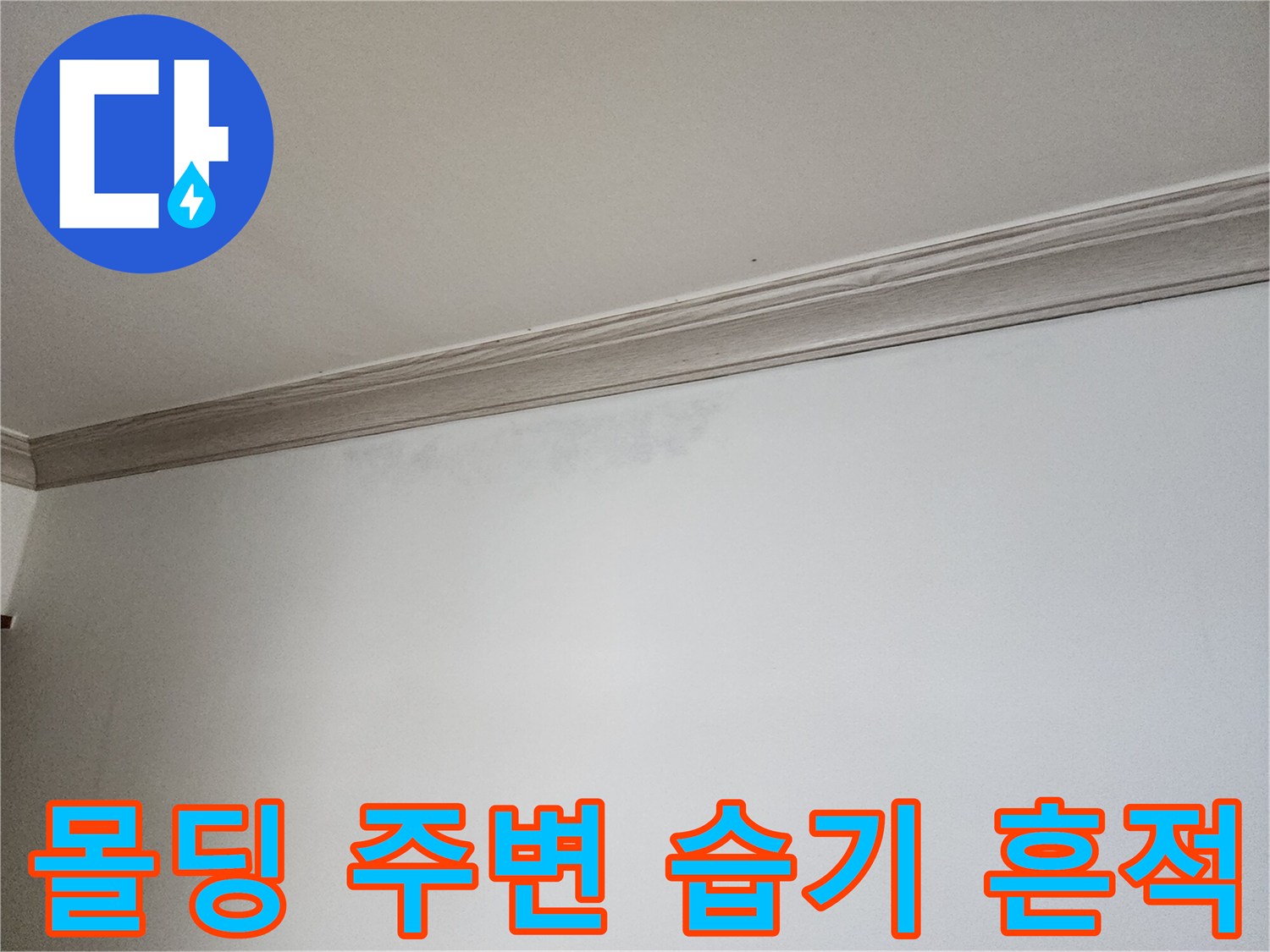 천장 몰딩 아래쪽의 습한 벽지 상태