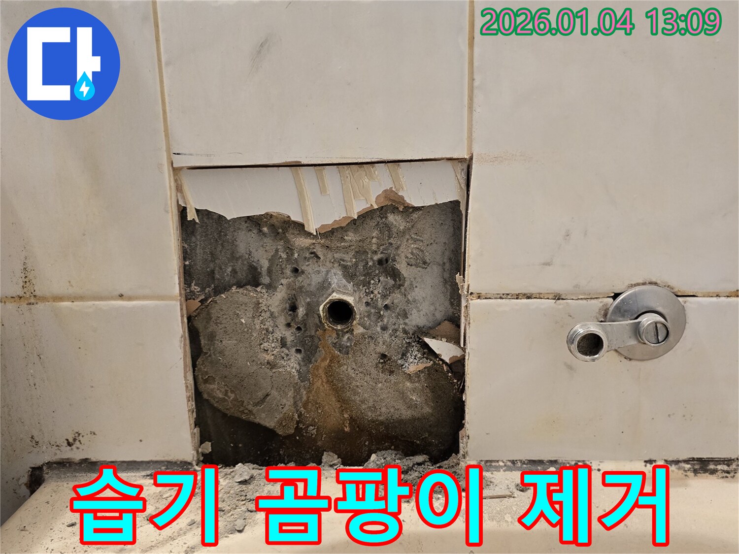 욕조 배관 누수 - 습기 및 곰팡이 제거 작업