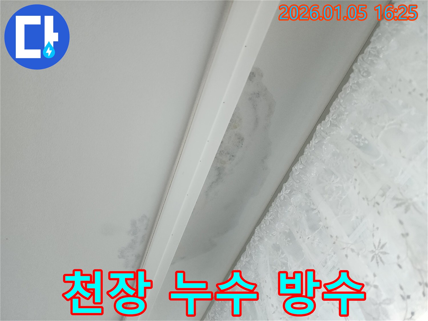 월계1동 천장 누수 - 방수 공사 진행