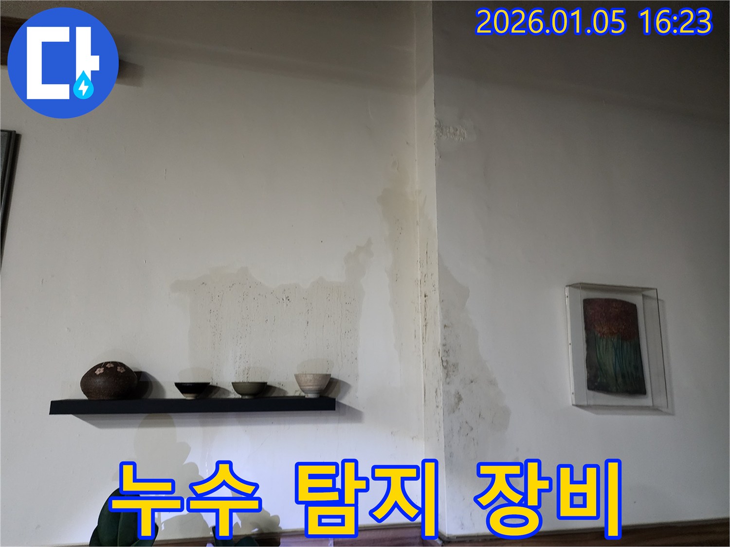 최첨단 누수 탐지 장비 - 정확한 누수 위치 파악