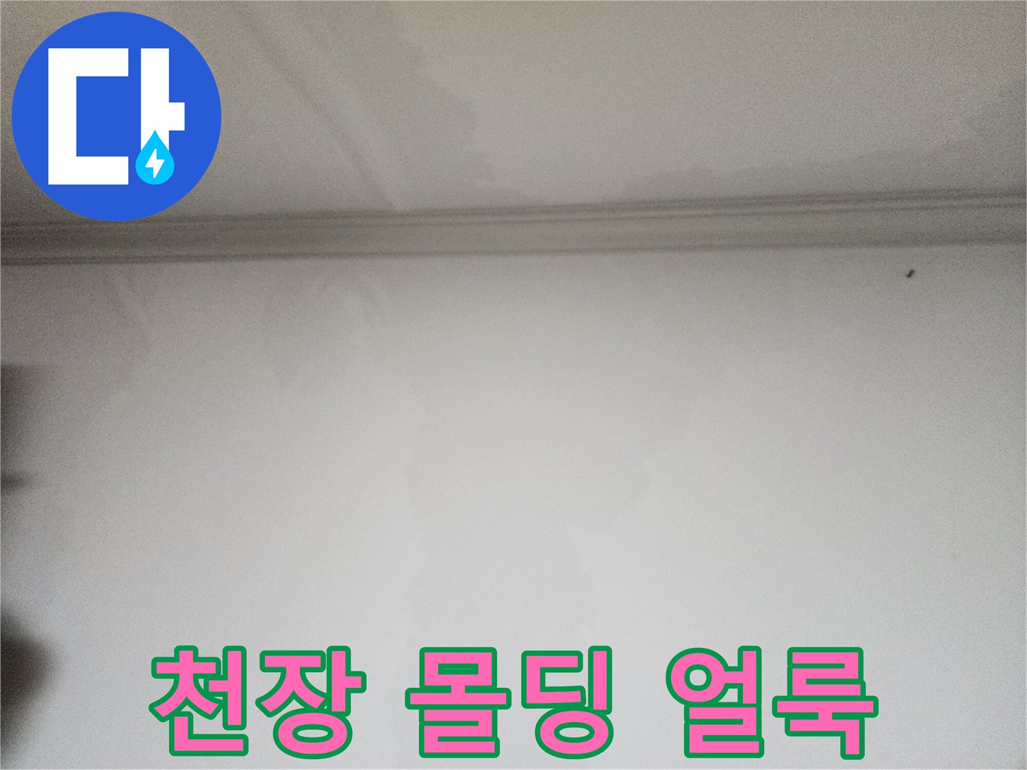 천장-몰딩-라인을-따라-퍼진-젖은-벽지