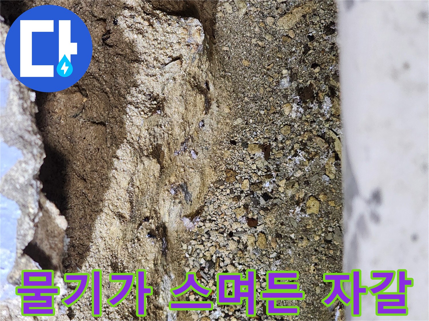 습기로-축축하게-젖어-있는-지하-바닥재