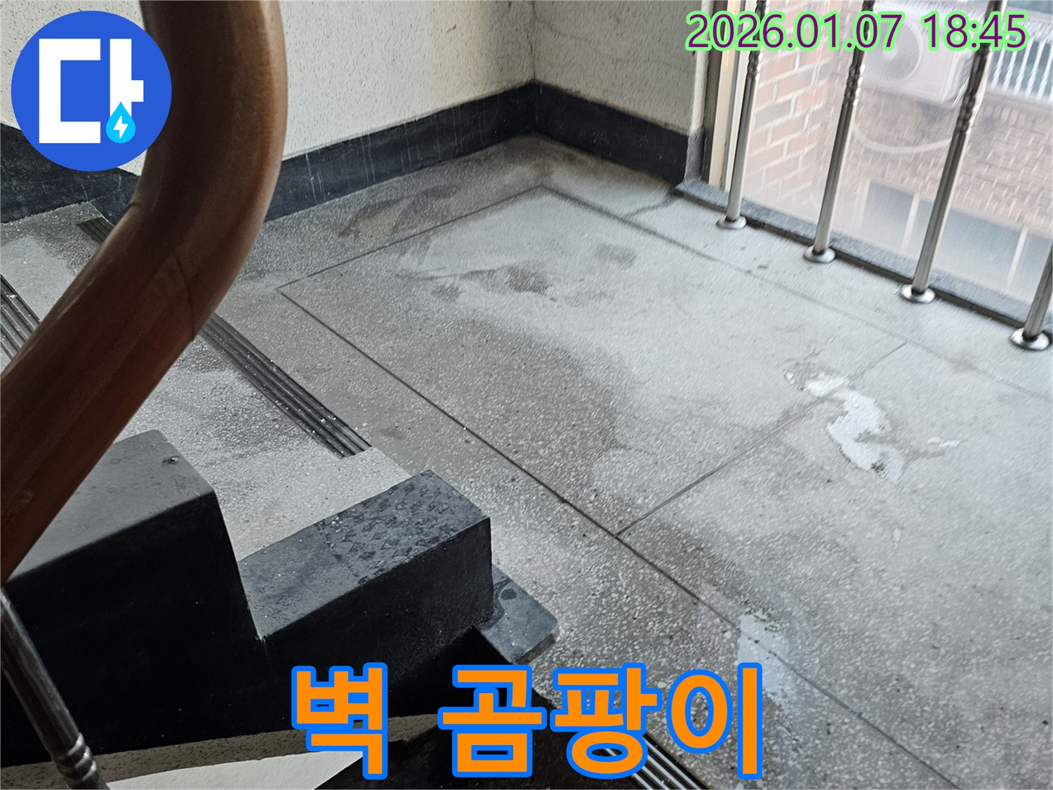 계단 벽 곰팡이 - 건강 위협 - 곰팡이 제거