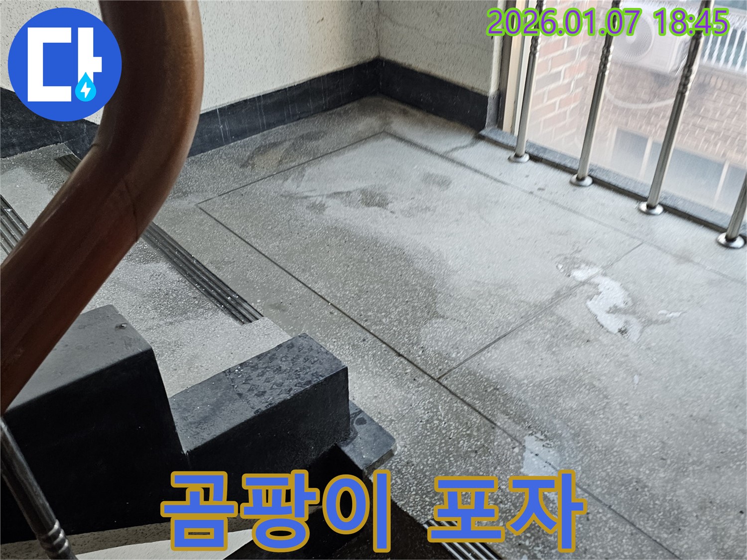 곰팡이 포자 - 호흡기 질환 - 건강 위협