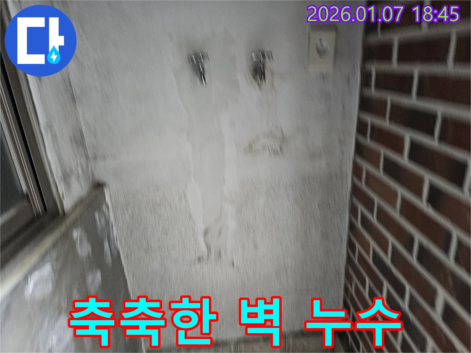 축축한 벽 - 완벽 해결 보장!