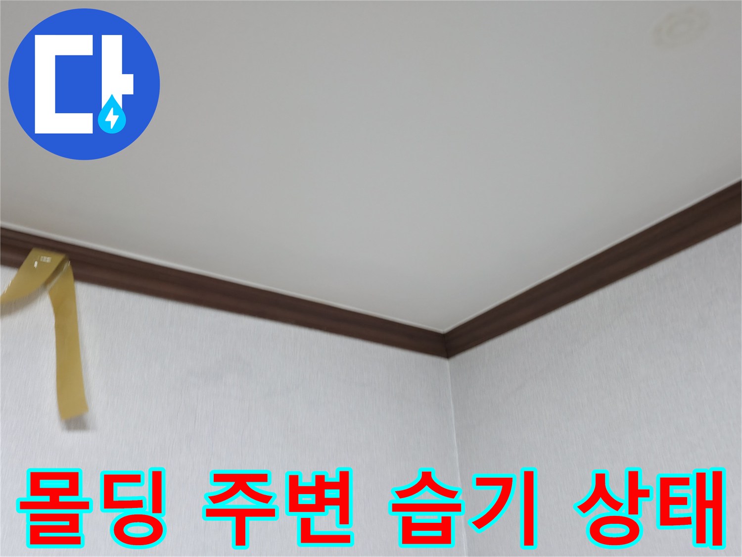 천장-몰딩-주변의-습한-상태-확인