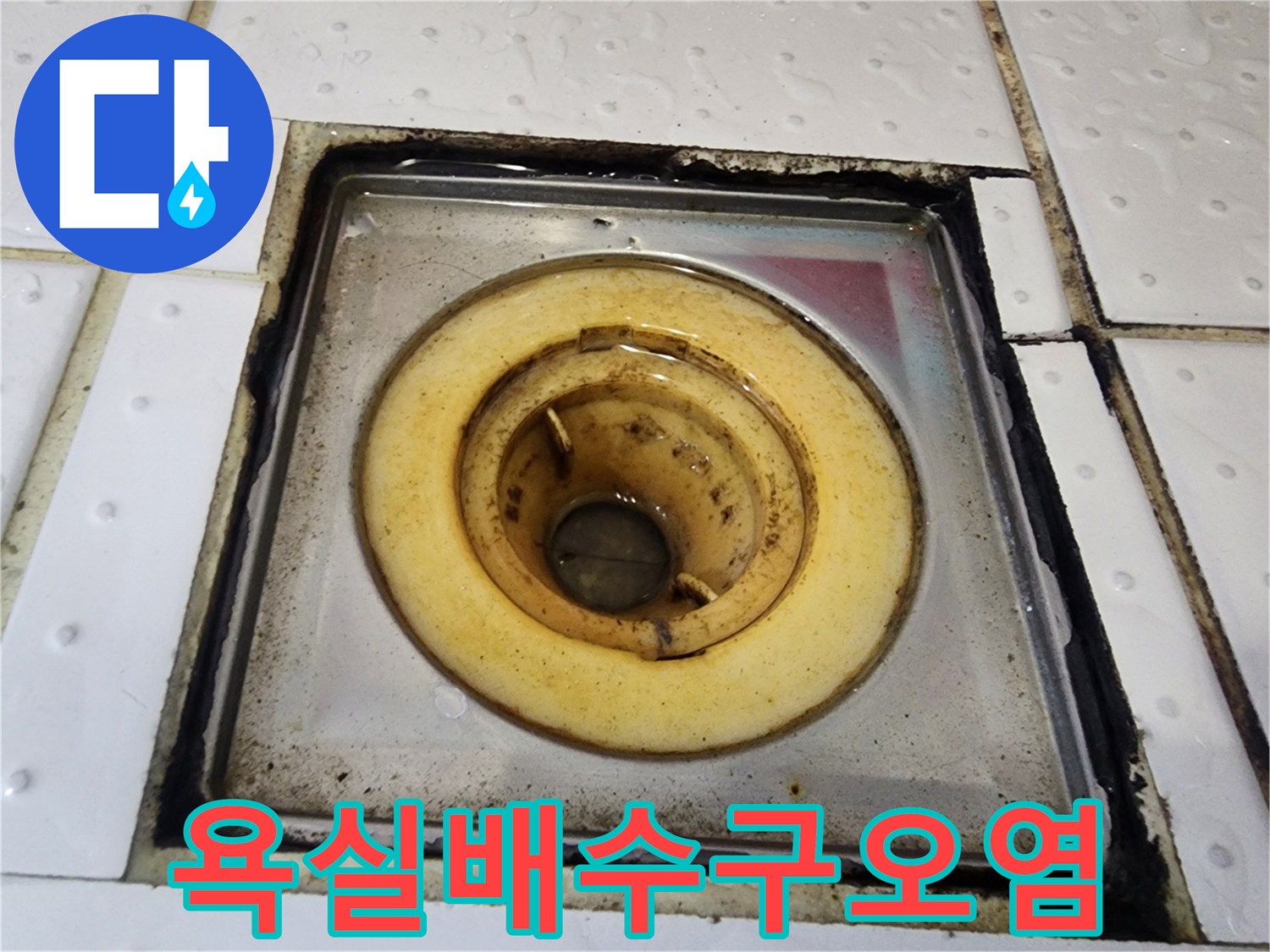 물때가-심한-화장실-배수구-주변