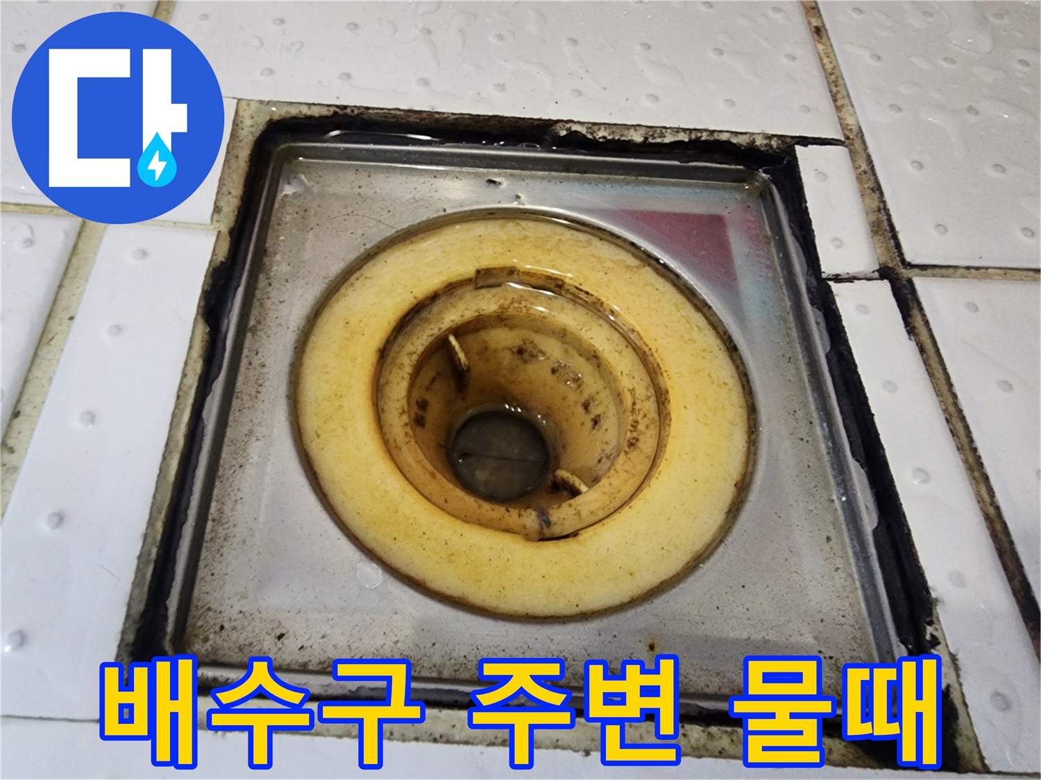 변색된-배수구-주변-타일-틈새-모습
