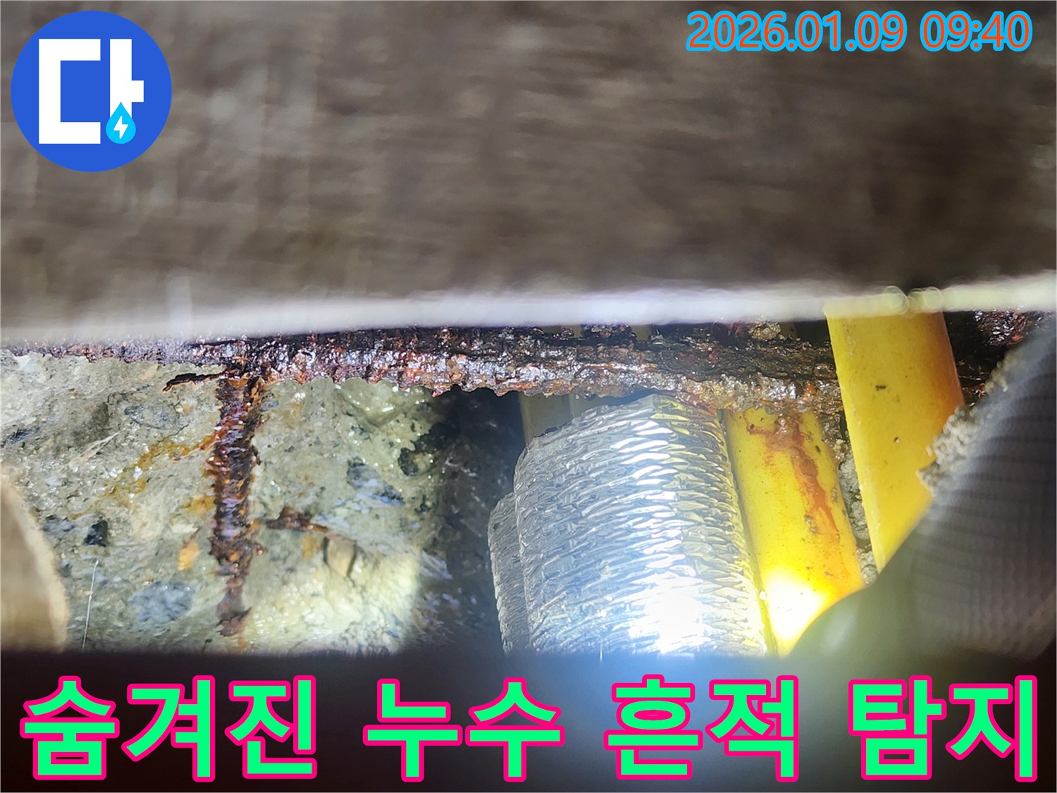 숨겨진 누수 흔적 - 전문가의 정밀 탐지 과정