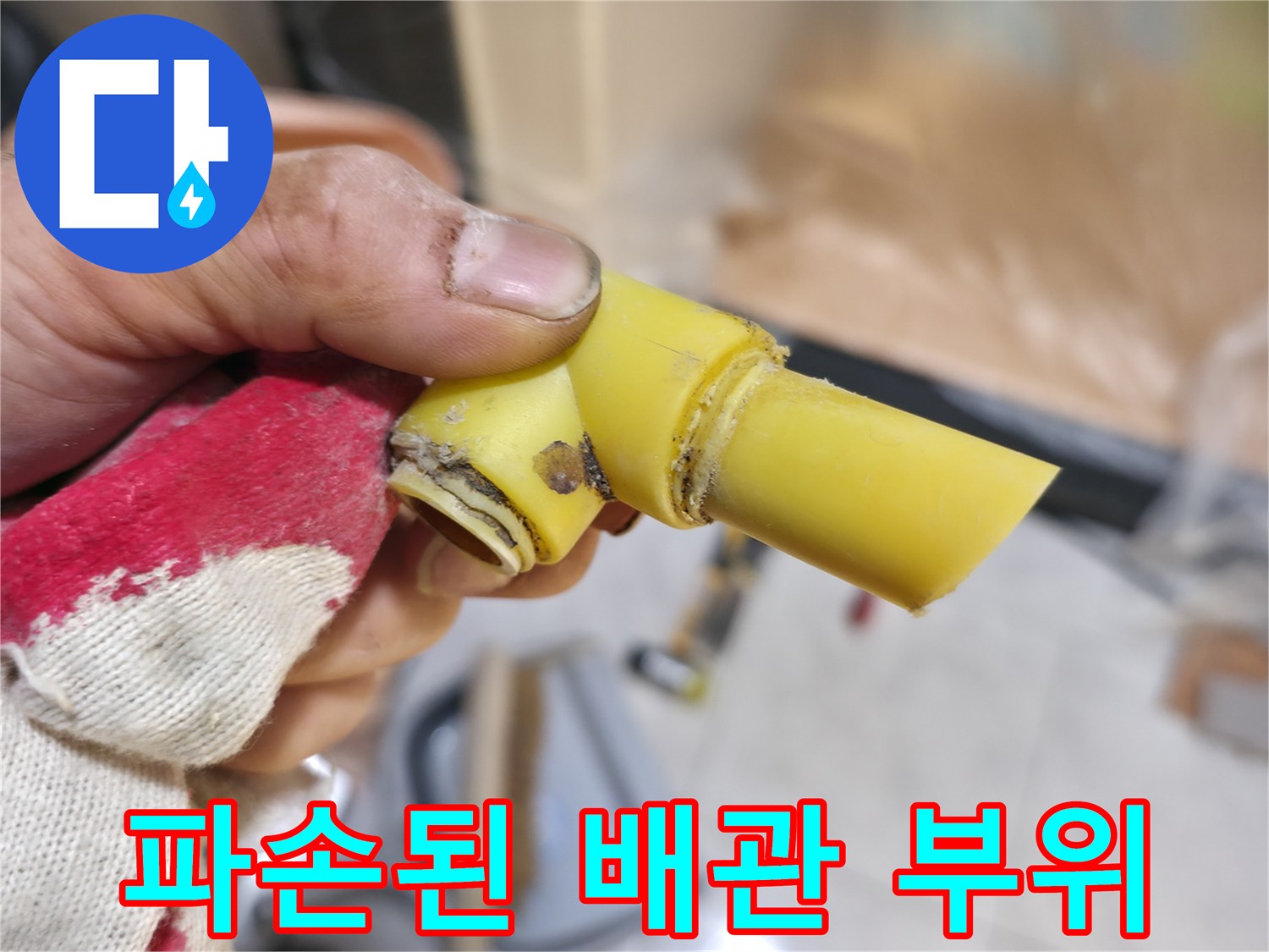 균열이 발생한 노란색 PB 배관의 상세 모습