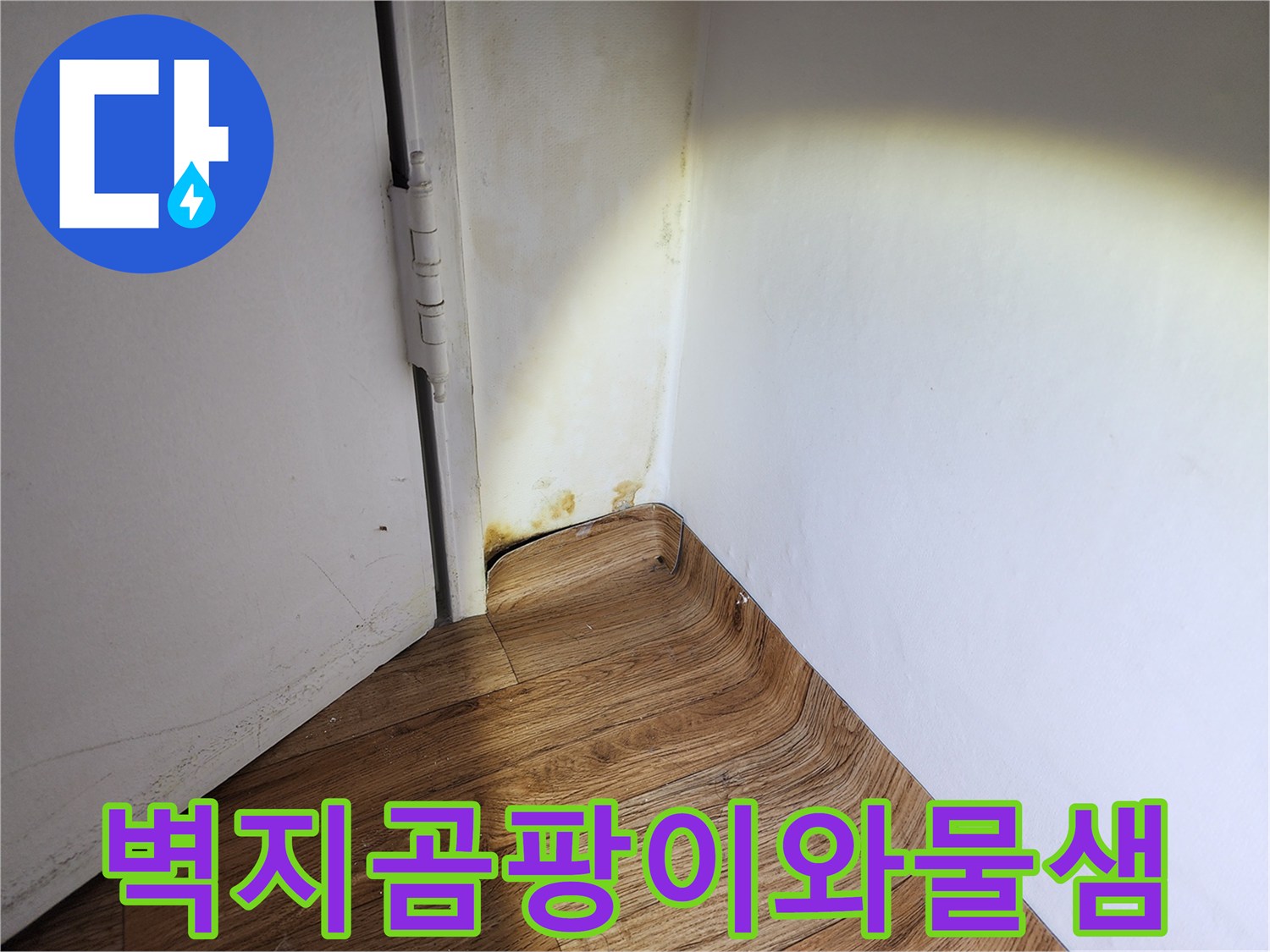 화장실-옆-벽지-하단-곰팡이-발생-부위