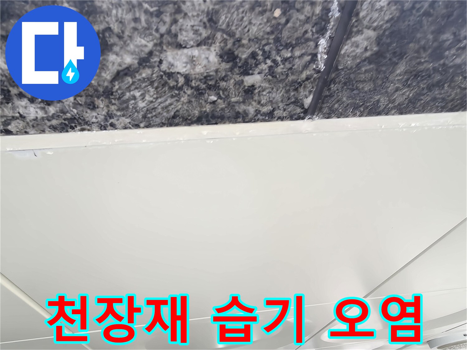 텍스 마감재-상부 슬라브 쪽으로 번진 물자국