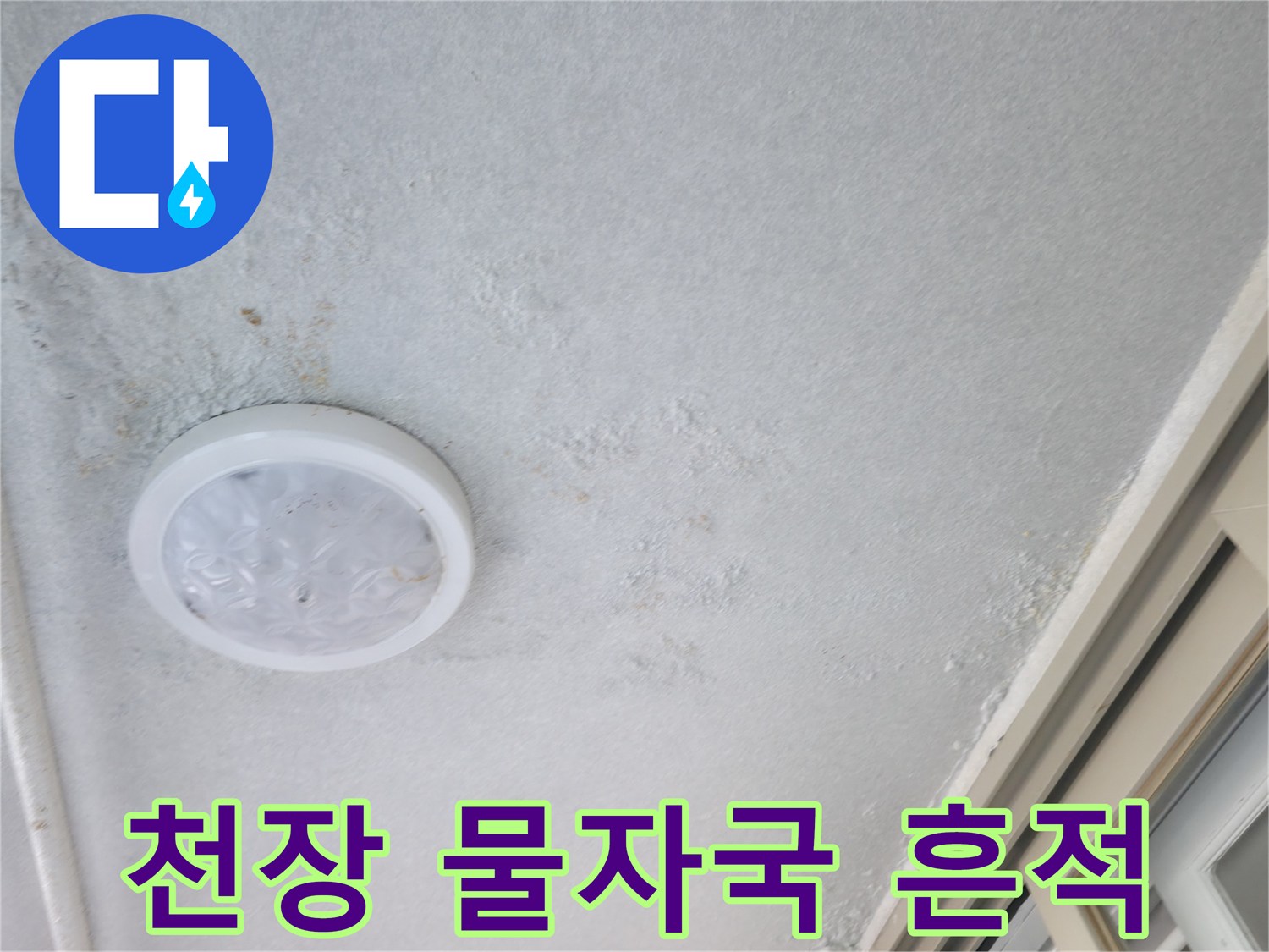 아파트 거실 천장의 누수 얼룩 및 습기 흔적