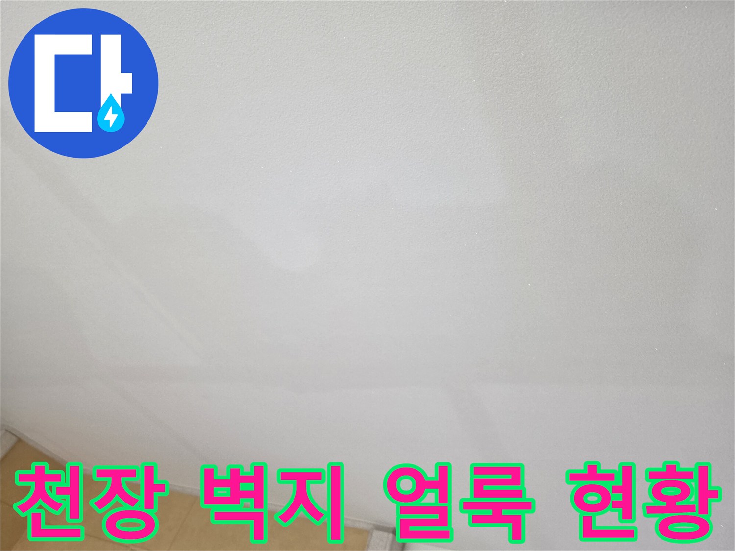 상록구-주방-벽지-누수-얼룩-진단