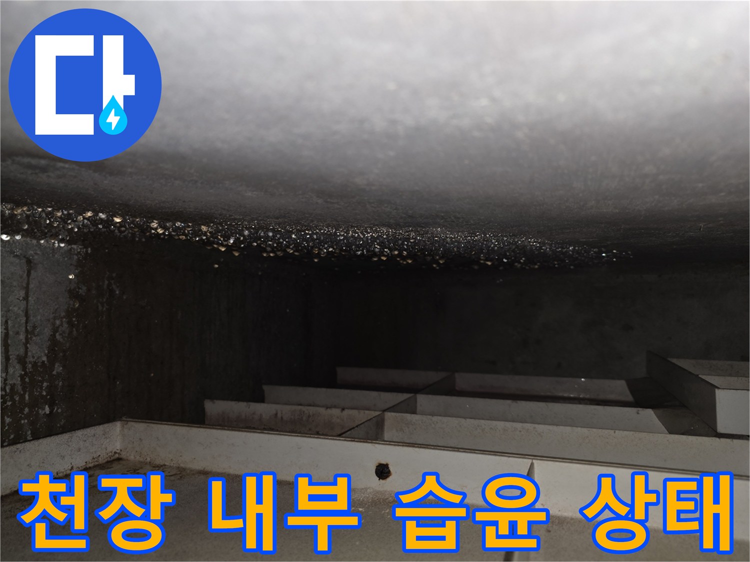 축축하게-젖어있는-천장-슬래브-모습