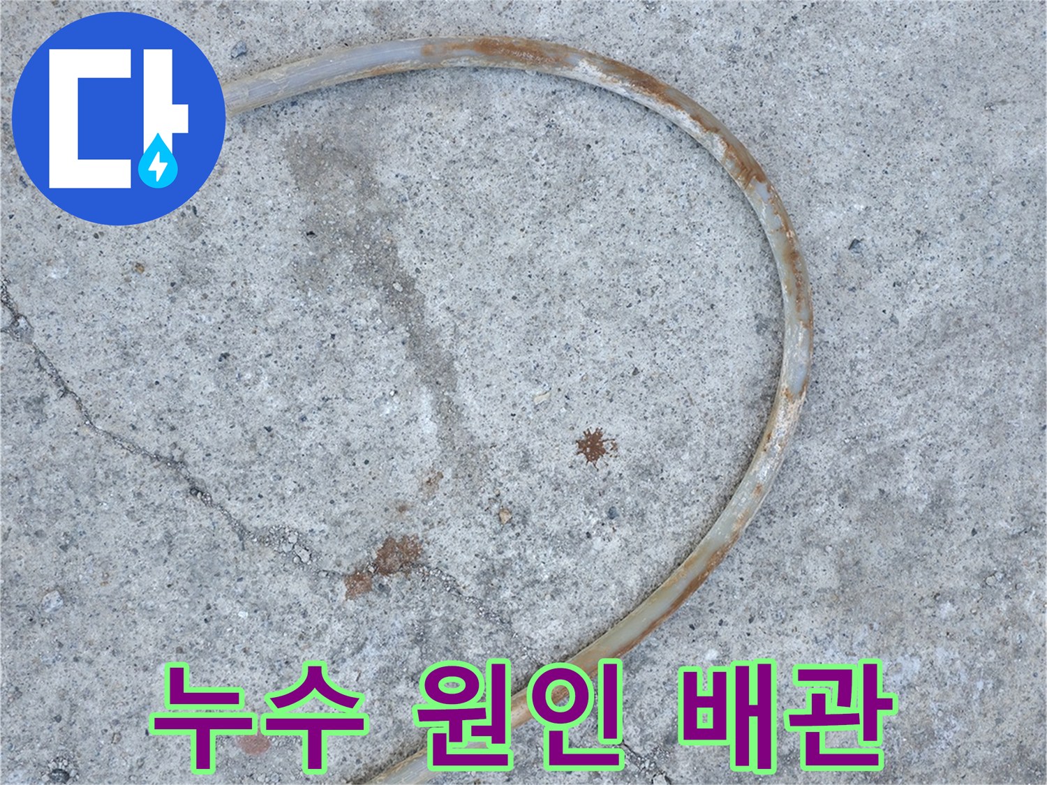 바닥 콘크리트 사이로 드러난 손상된 배관