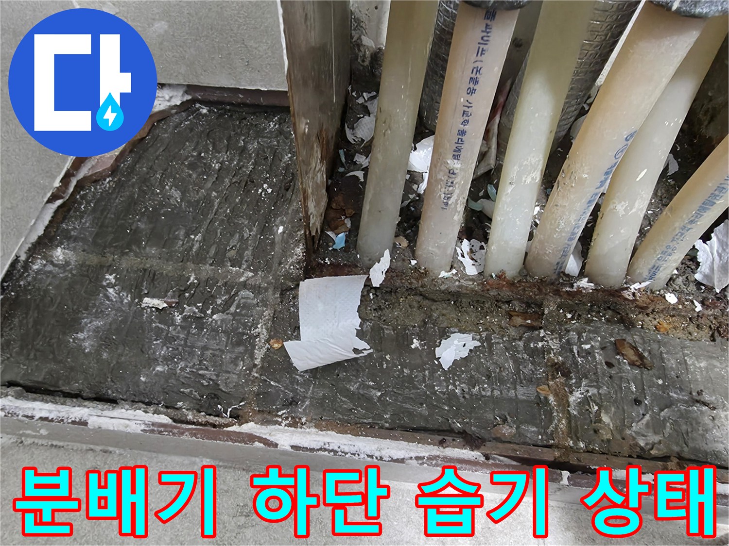 축축하게-젖은-보일러-배관-주변-바닥