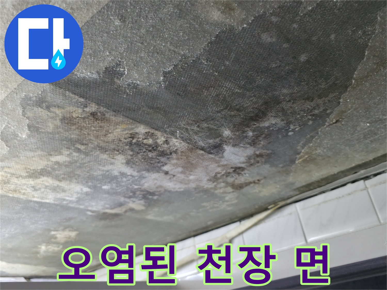 축축하게-젖어있는-화장실-천장-슬래브