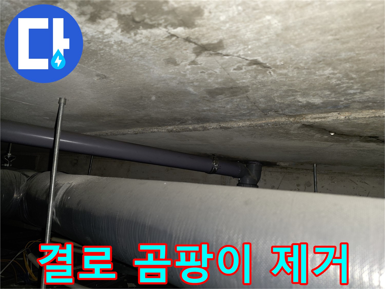 양천구 신정동 587-10 누수 - 숨어있는 누수까지 완벽하게 탐지 및 해결