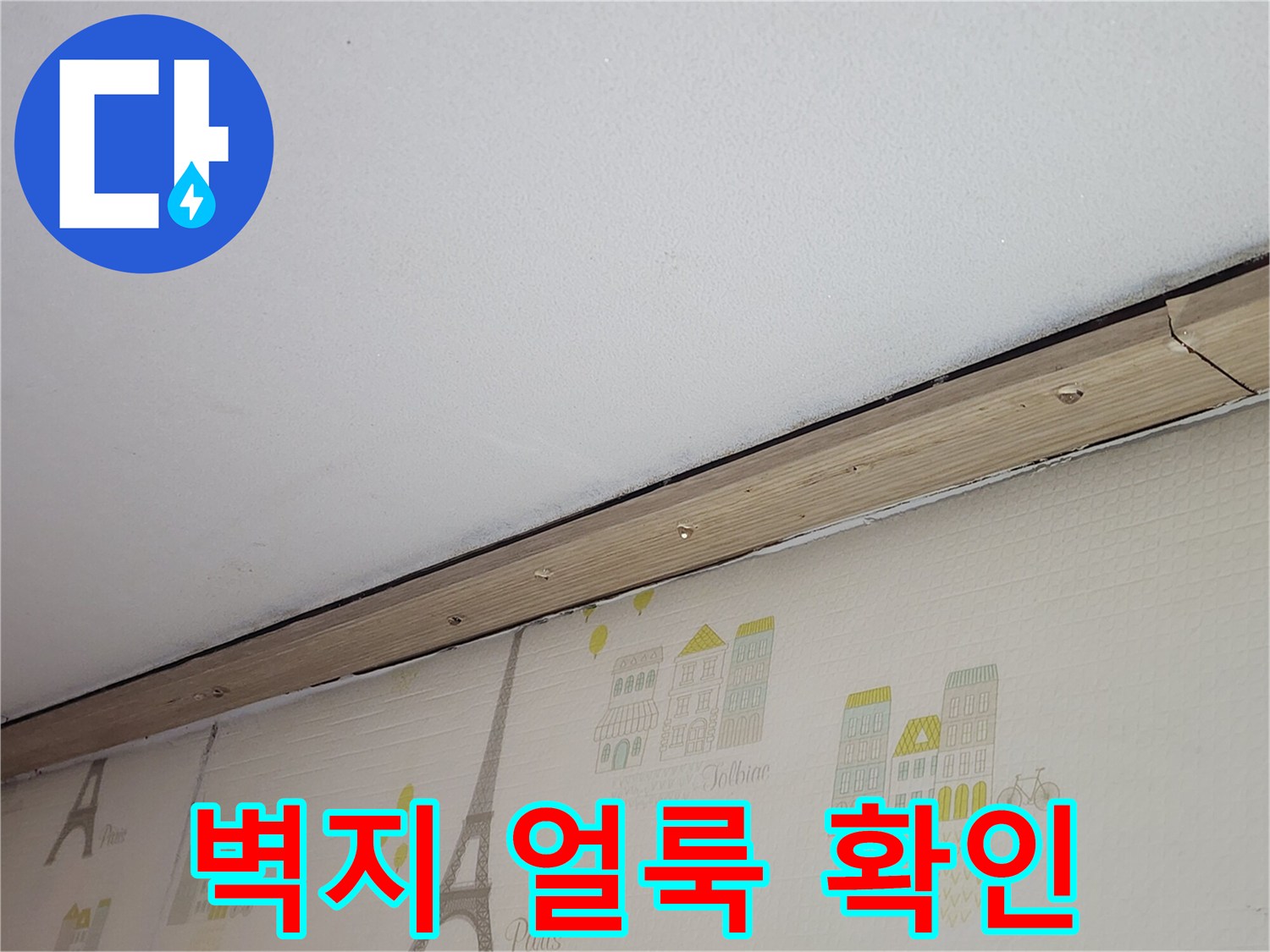 벽지-패턴-사이-습기-침투-흔적