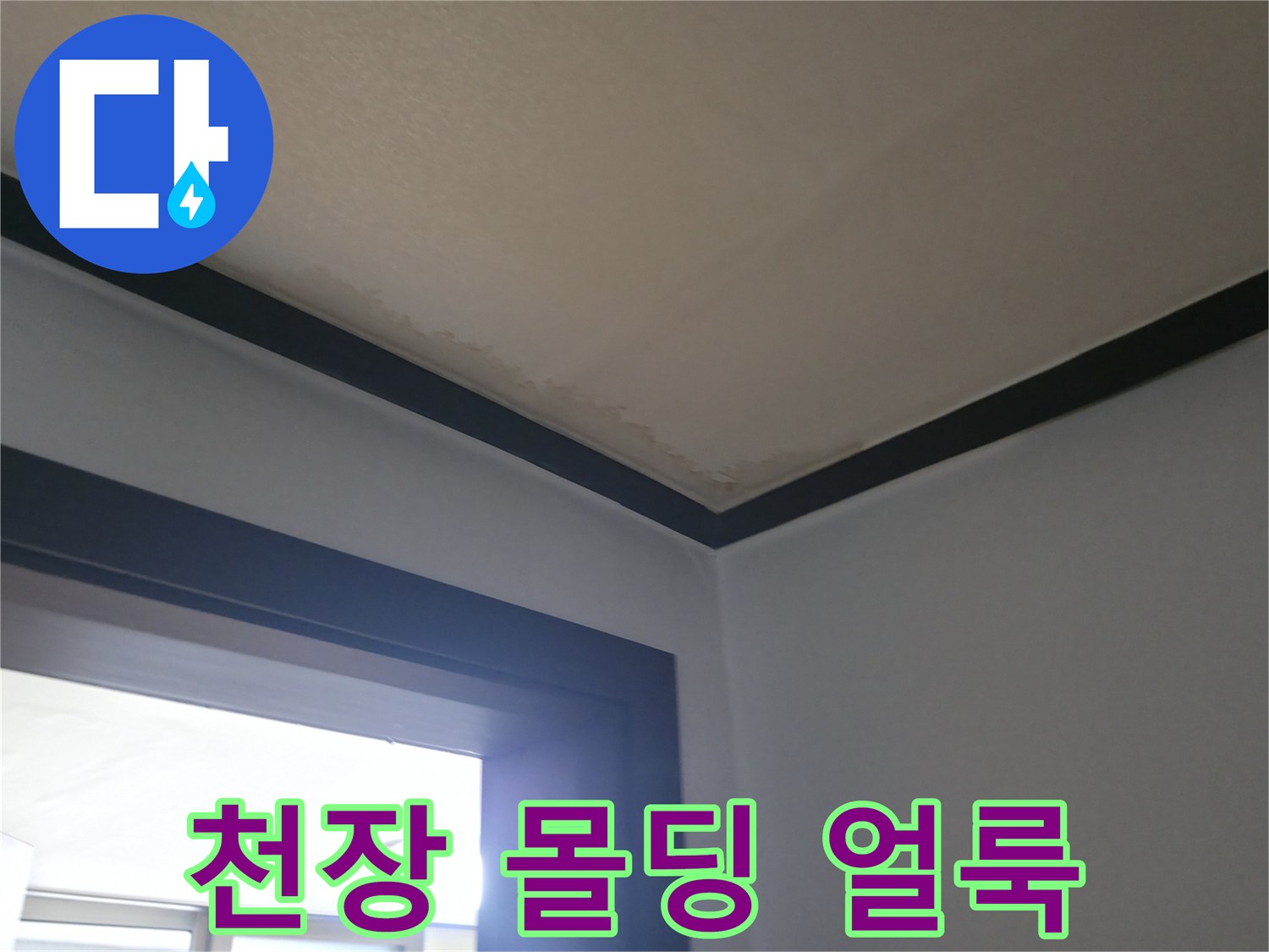 거실 천장 몰딩 주변의 습기 침투 흔적