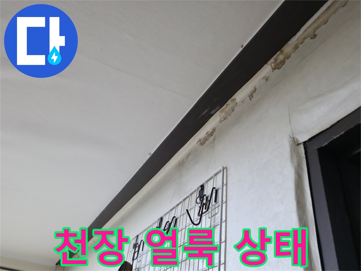 물자국이-남은-천장-몰딩-부위