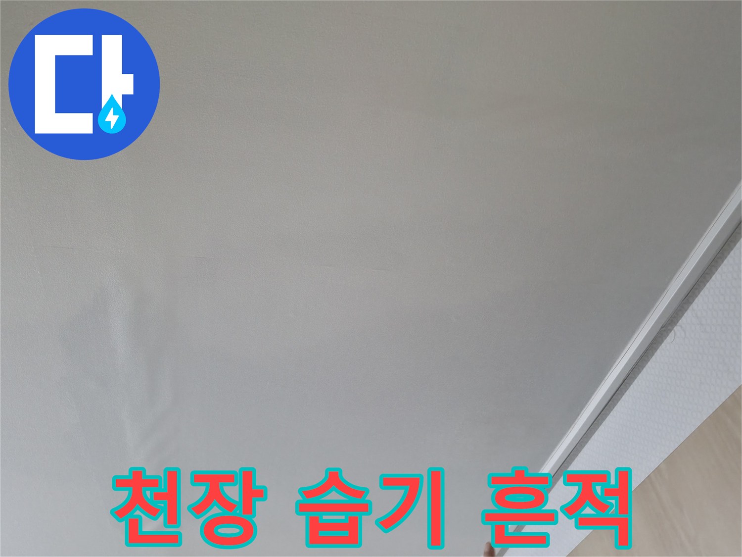 천장 벽면의 물샘으로 인한 젖음 현상 부위