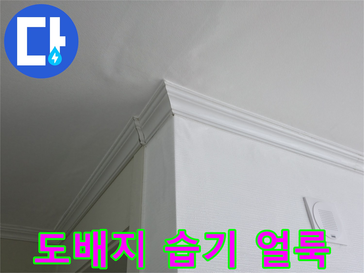 천장 도배지에 나타난 미세한 수분 흔적