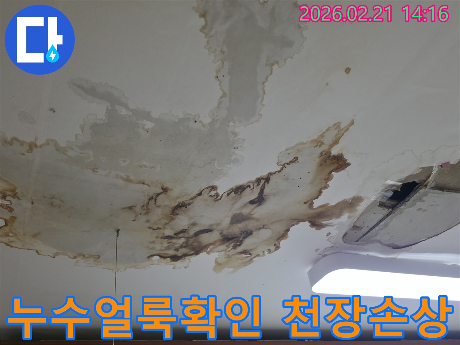 광범위하게-퍼진-천장-누수-피해-현장을-촬영한-사진