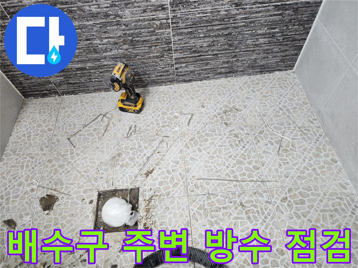 동대문구-화장실-바닥-배수구-주변-점검