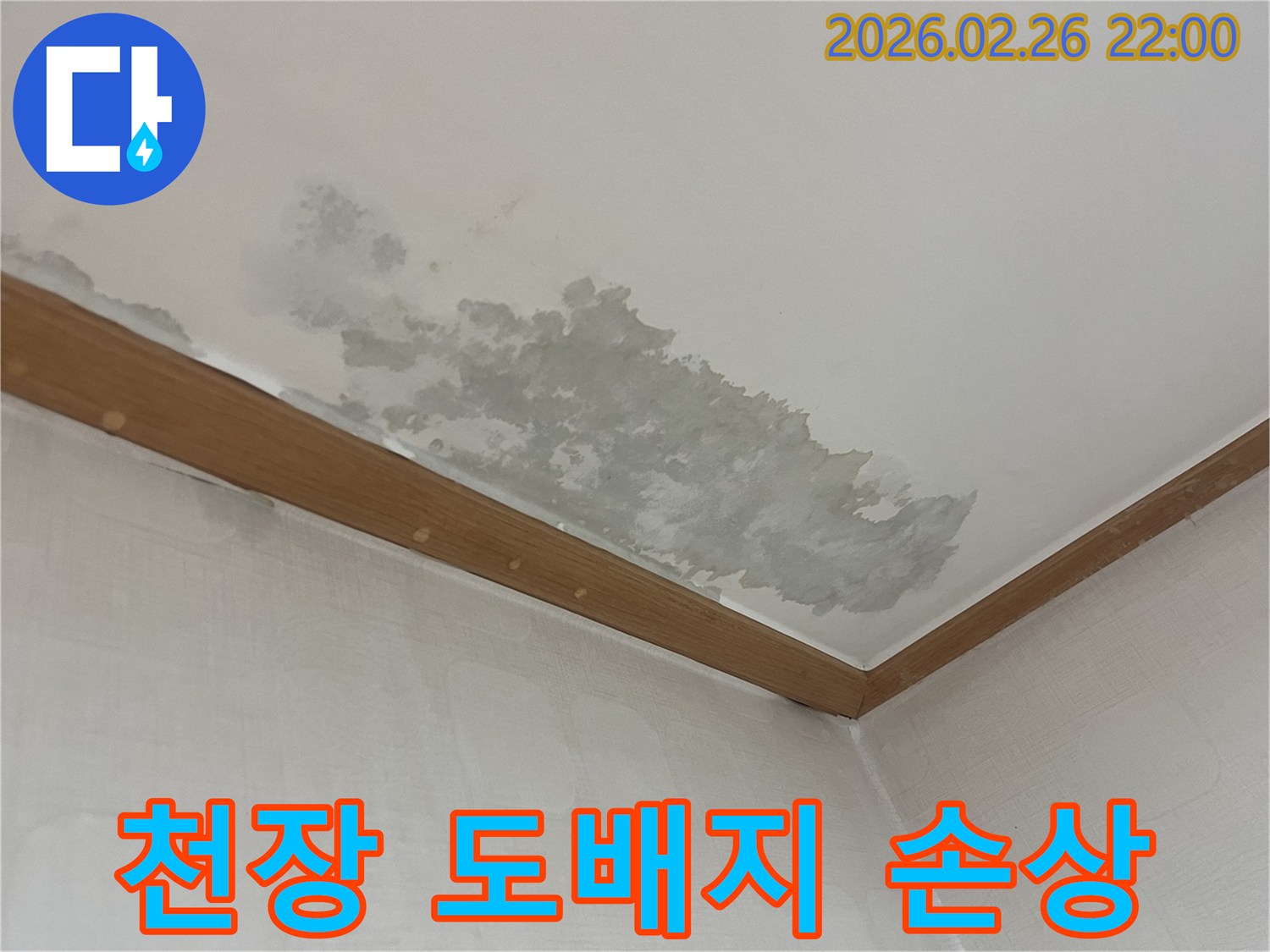 물에-젖어-손상된-천장-도배지-누수-현장