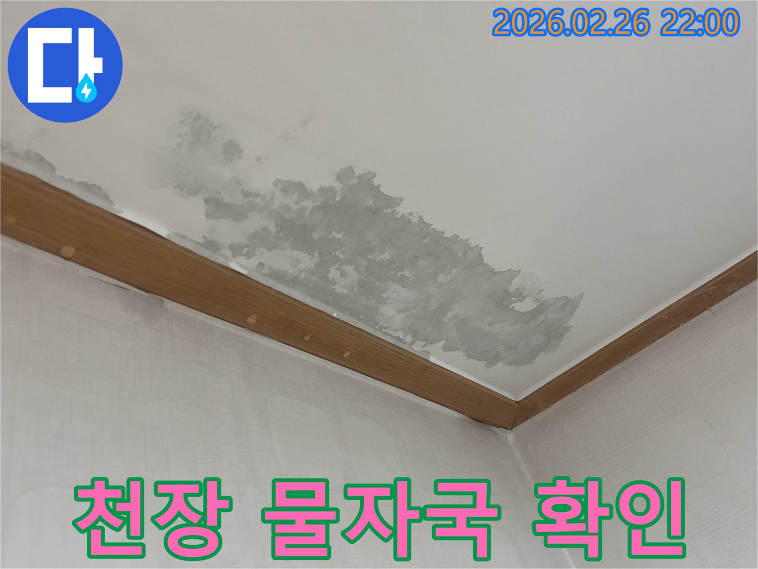천장에-선명하게-남은-물자국-누수-발생-증거