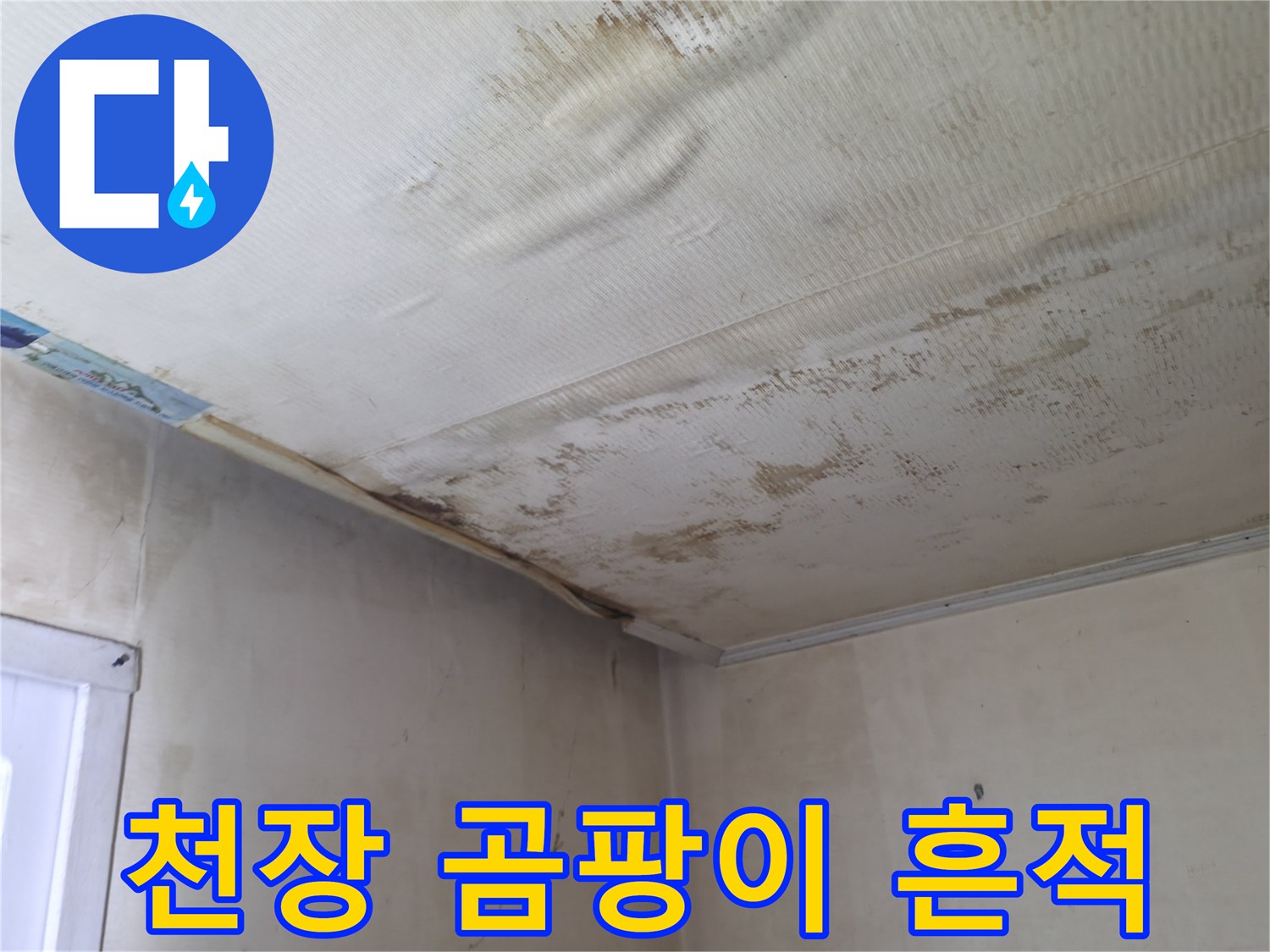 작은방-천장지에-번진-곰팡이와-얼룩
