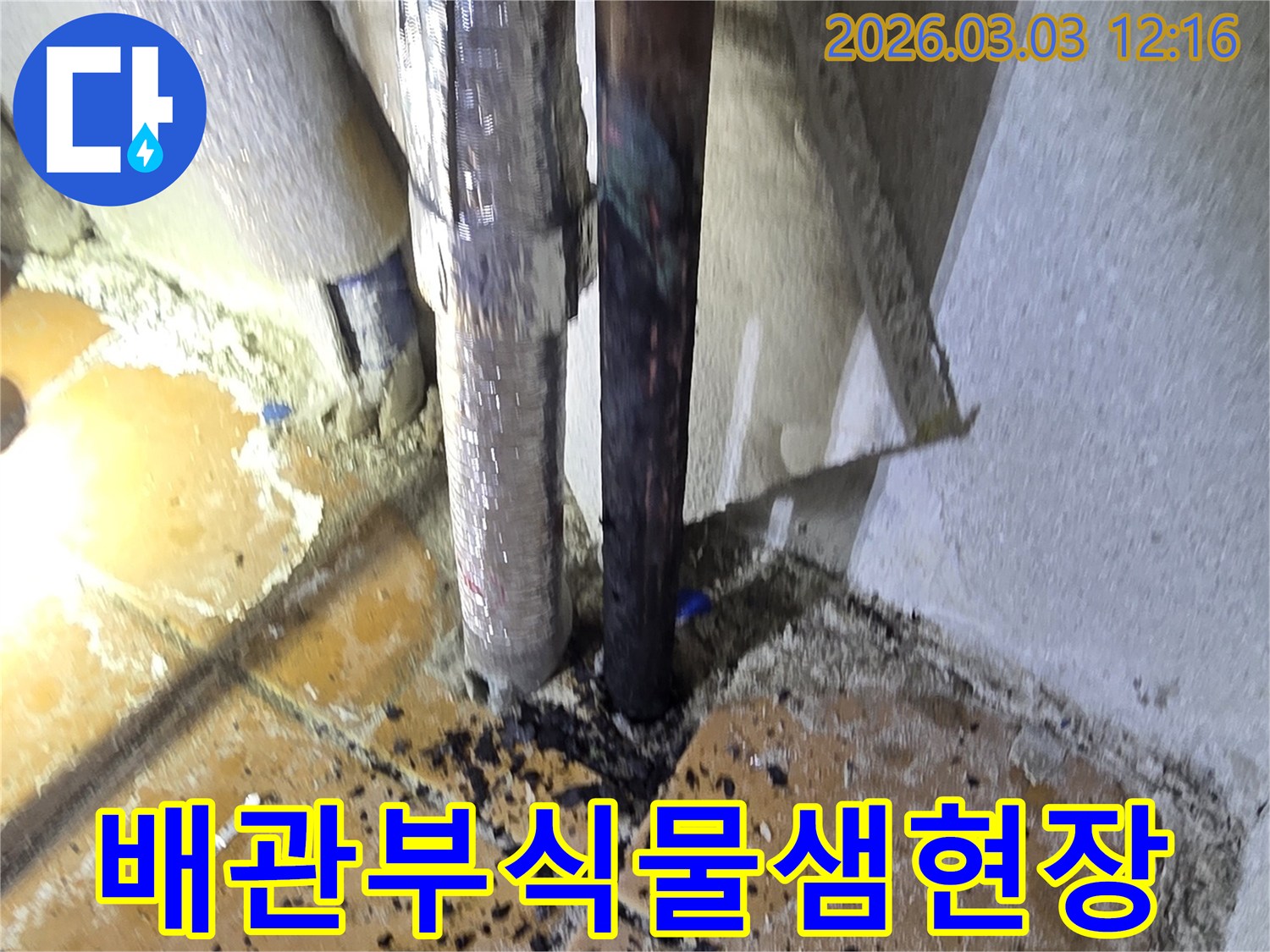 양주-광적면-주택에서-발견된-배관-부식으로-인한-물샘-현장을-정밀하게-확인하고-누수-원인을-분석하는-모습