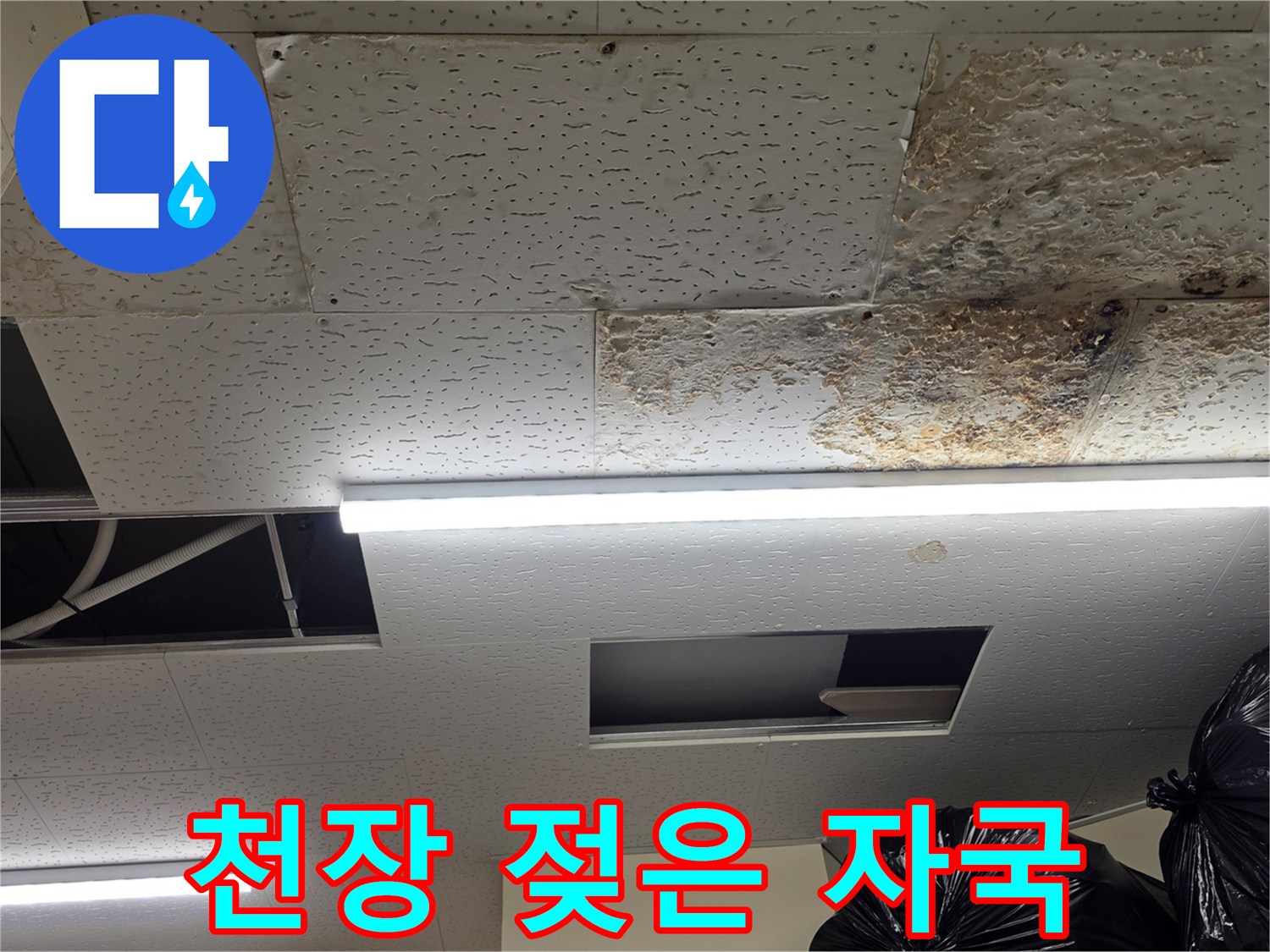 습기로-인해-변색된-천장-텍스-마감재