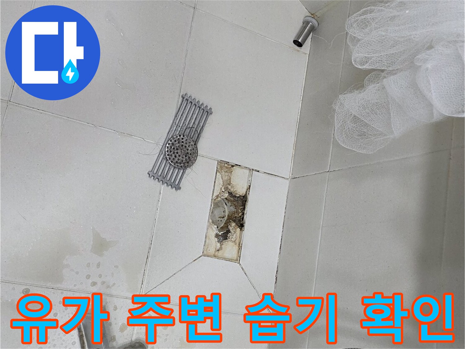 욕실-배수구-주변-타일-사이-습기-침투-현황