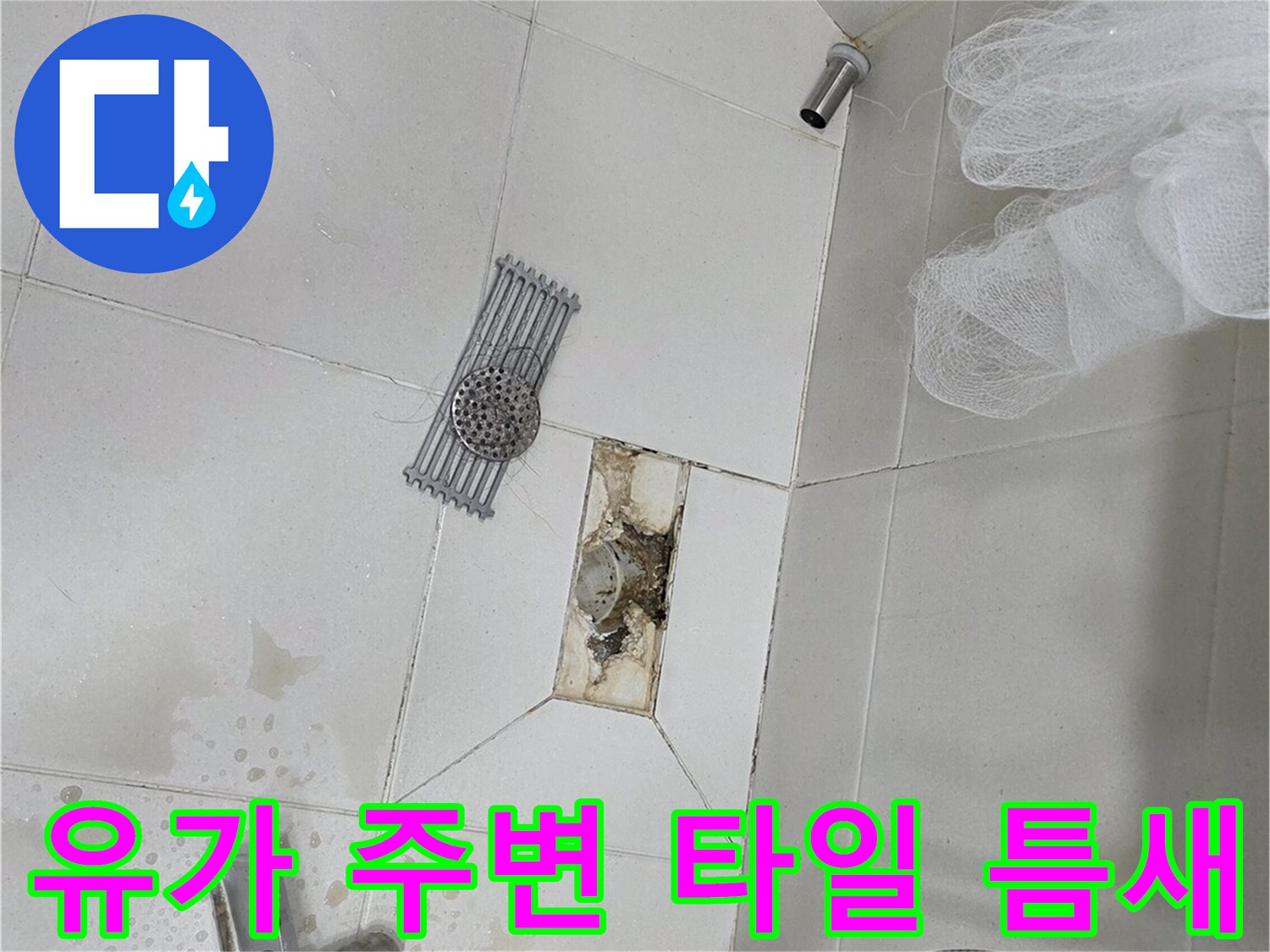 화장실-배수구-주변-방수-결함-현황-사진