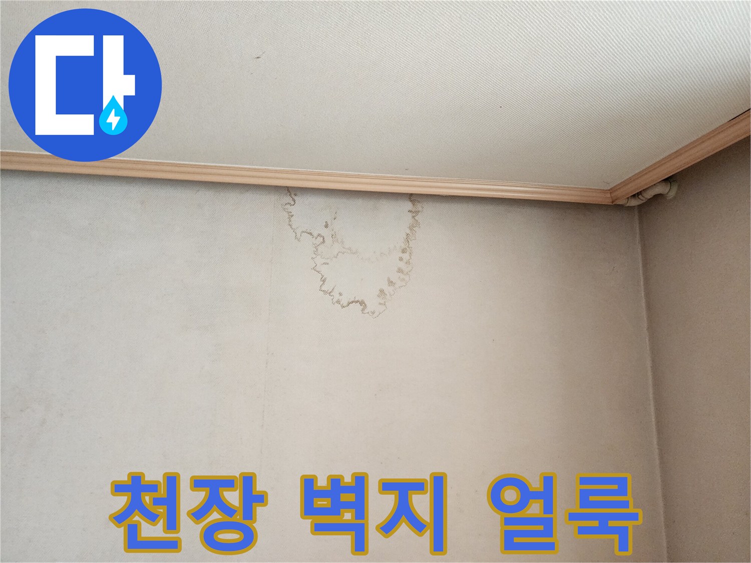 종로구 거실-천장 벽지 물자국 흔적