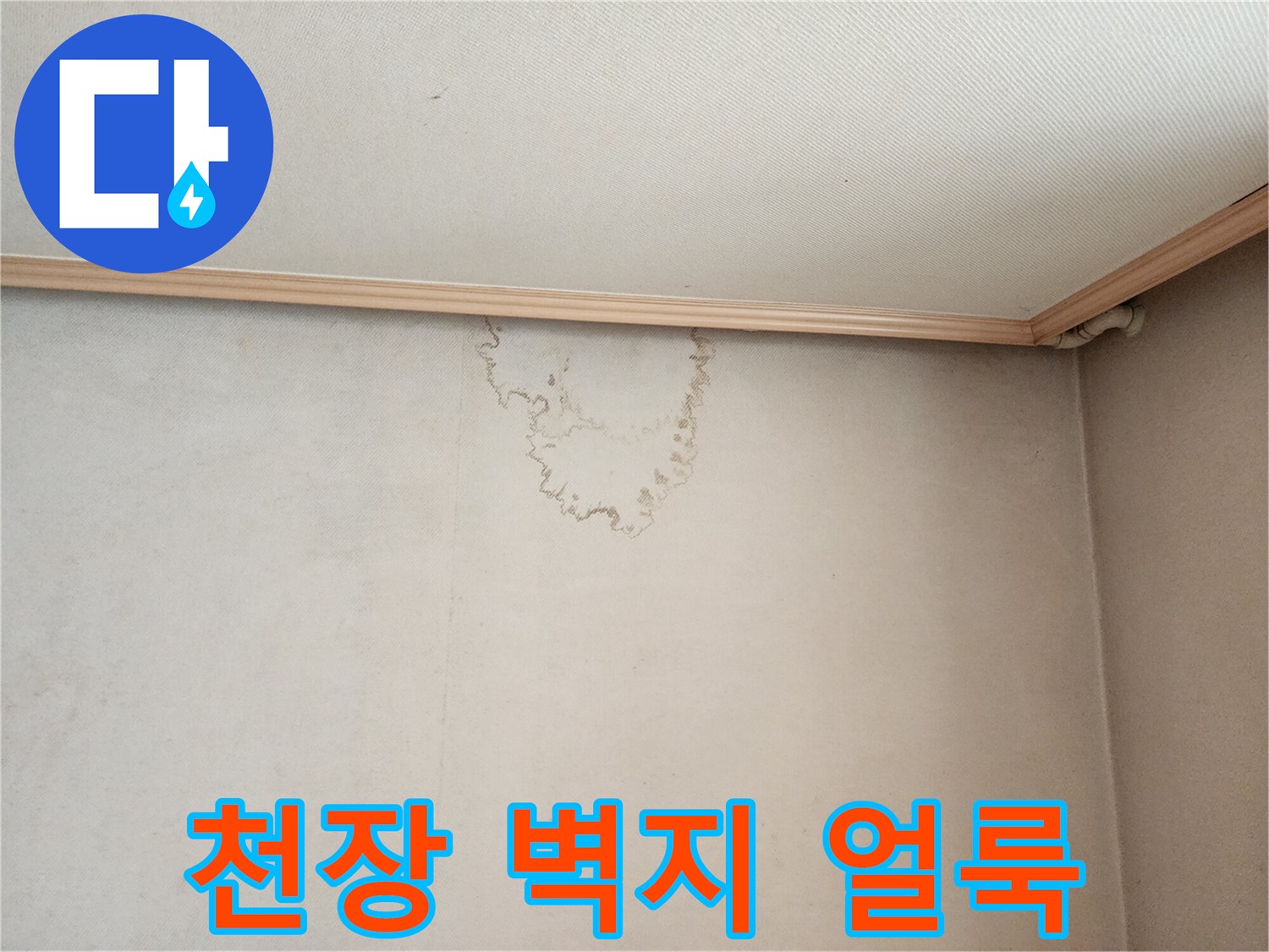 종로구 현장-거실 천장 벽지에 발생한 물자국 흔적