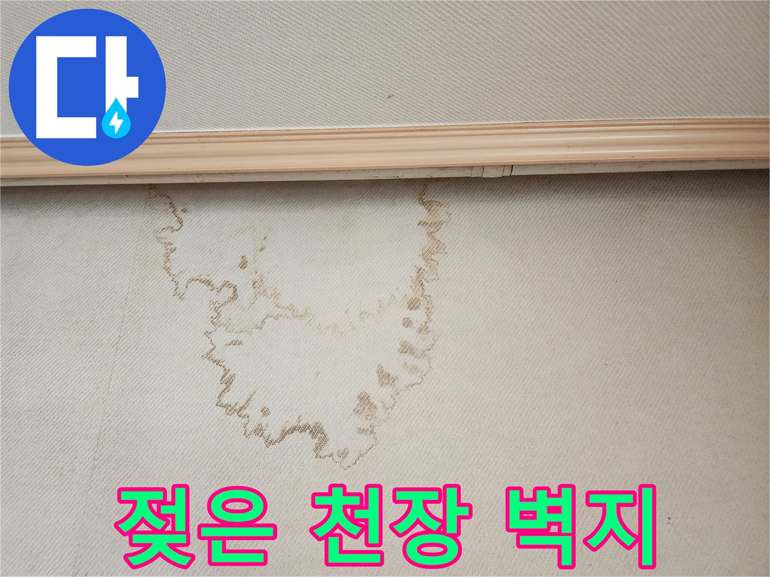 천장 몰딩 하단의 습기 머금은 얼룩