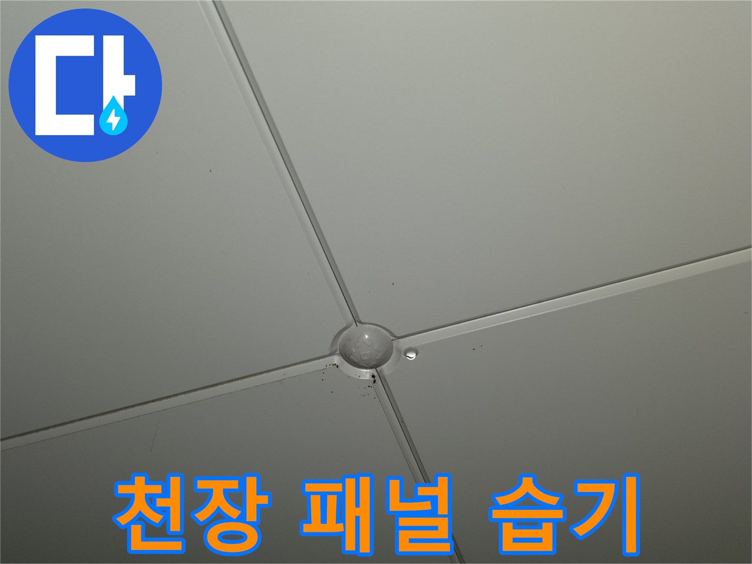 천장재 접합부-물자국 흔적 발견