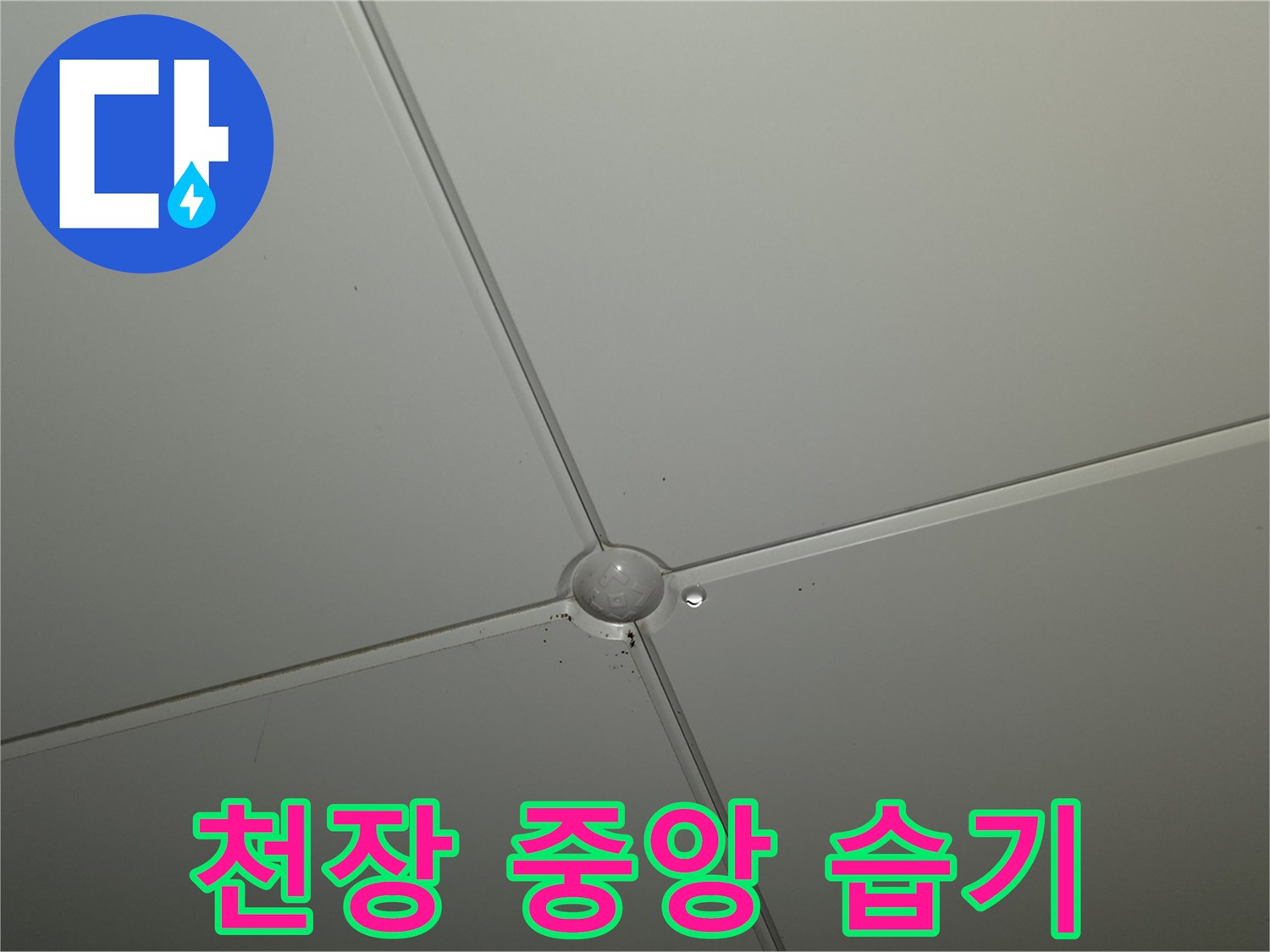 천장재-중앙-물샘-흔적-촬영