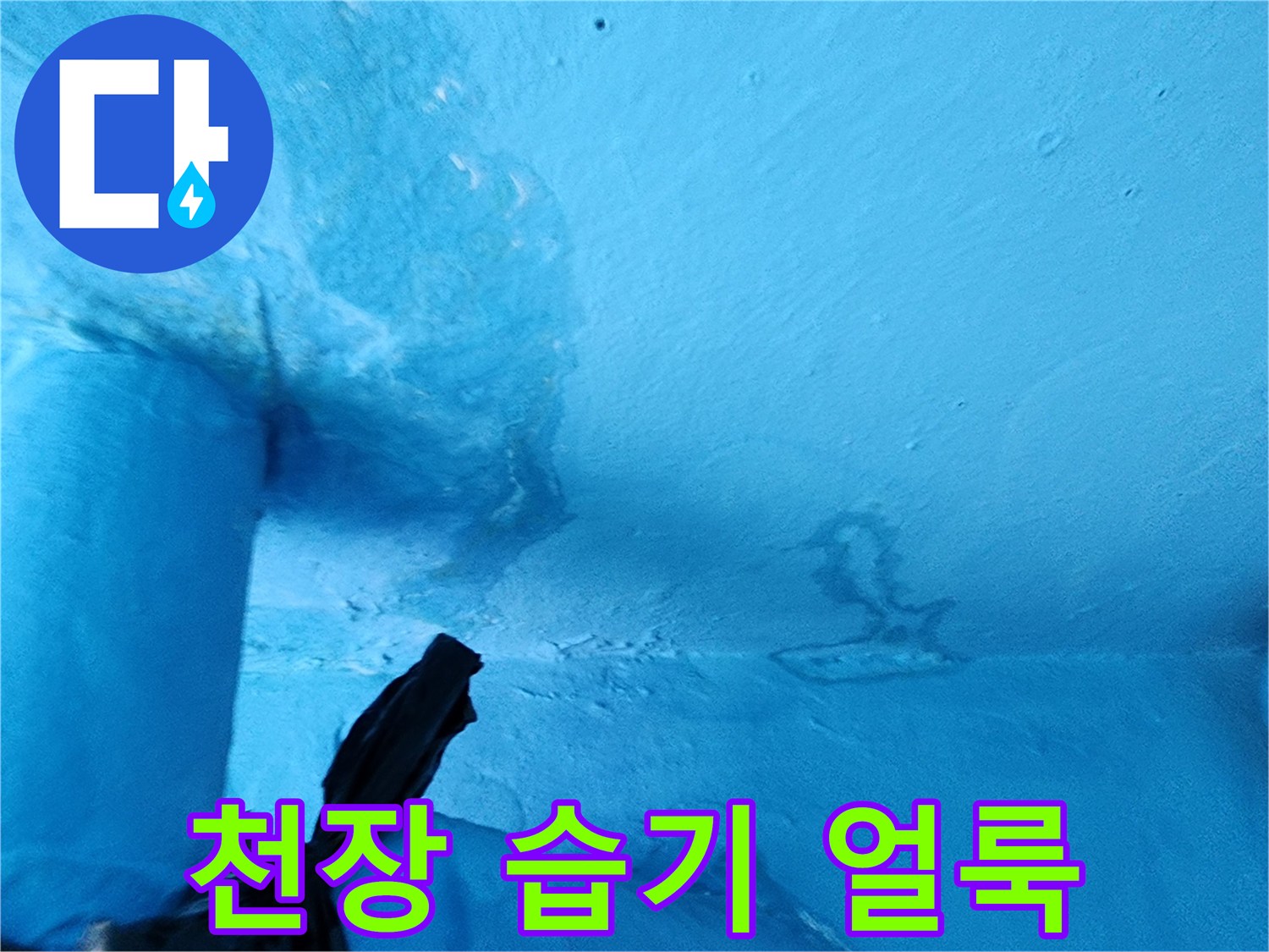 물기에 젖어 변색된 천장 마감재 부위