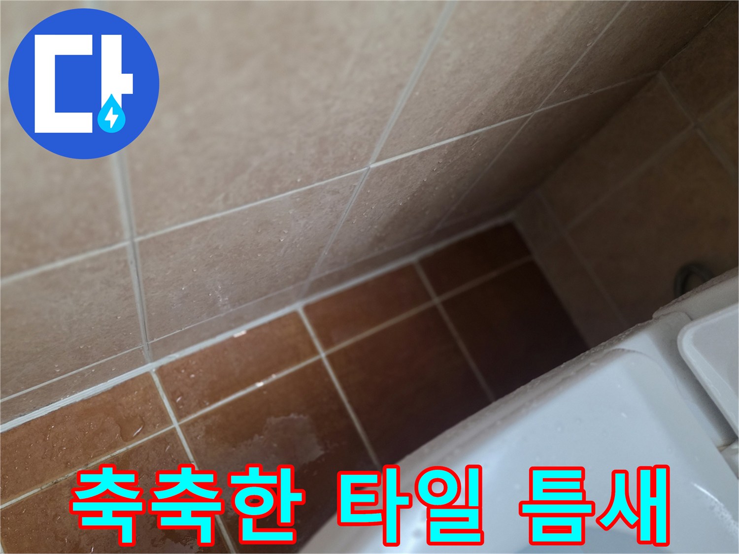 욕실-바닥-타일-사이-물기-관찰
