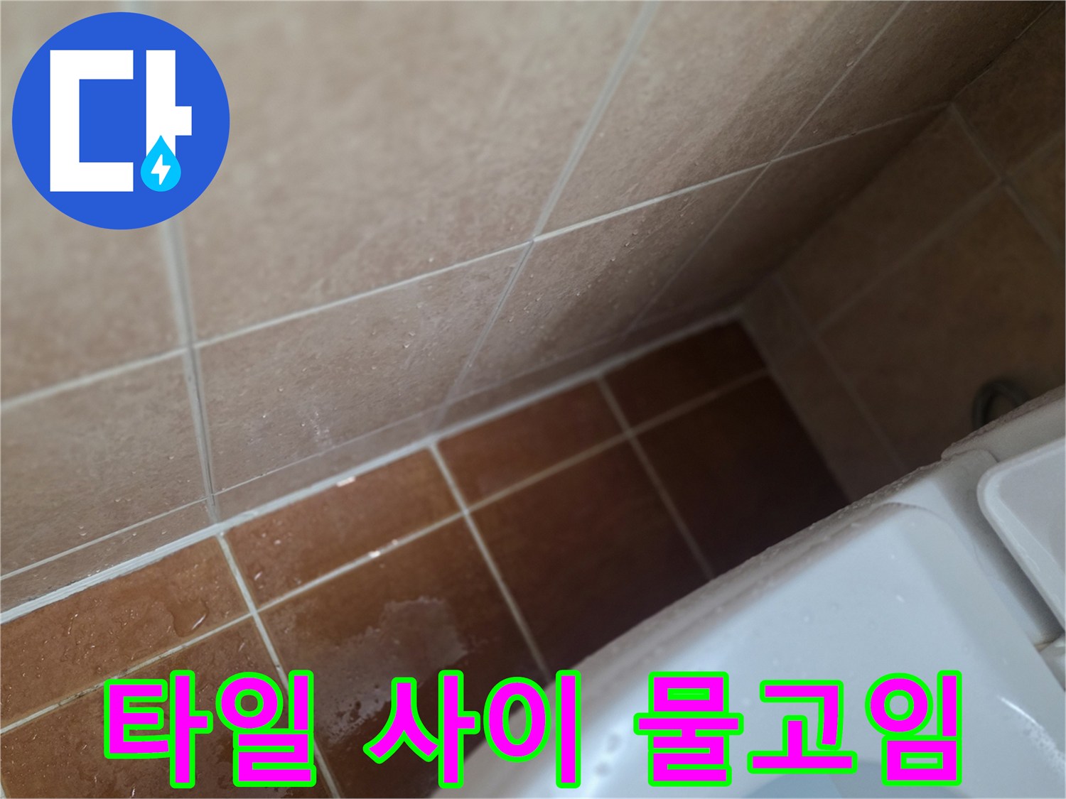 욕실-바닥-타일-틈새-물기-상태