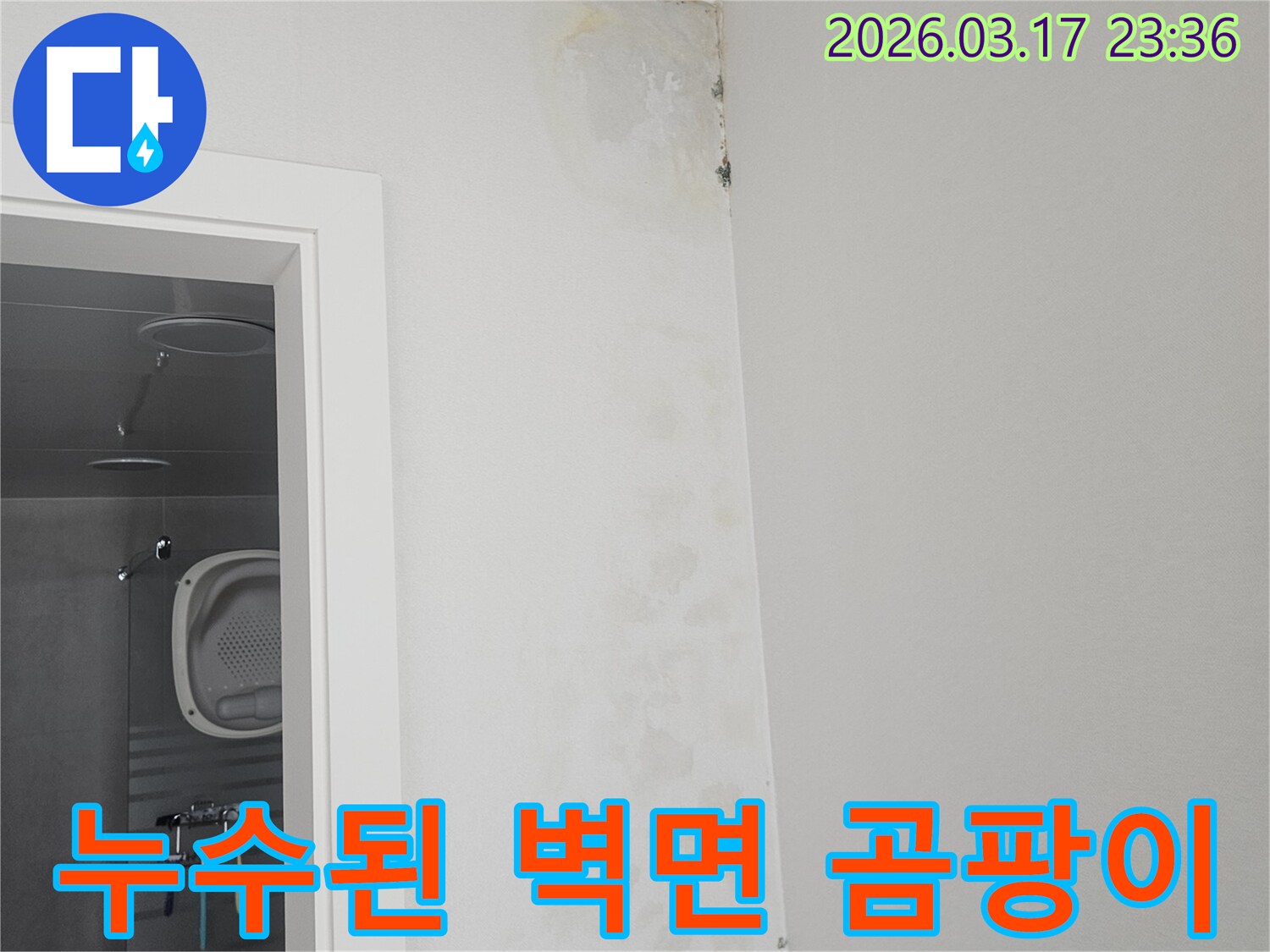 건물-내부-누수-발생-현장-사진