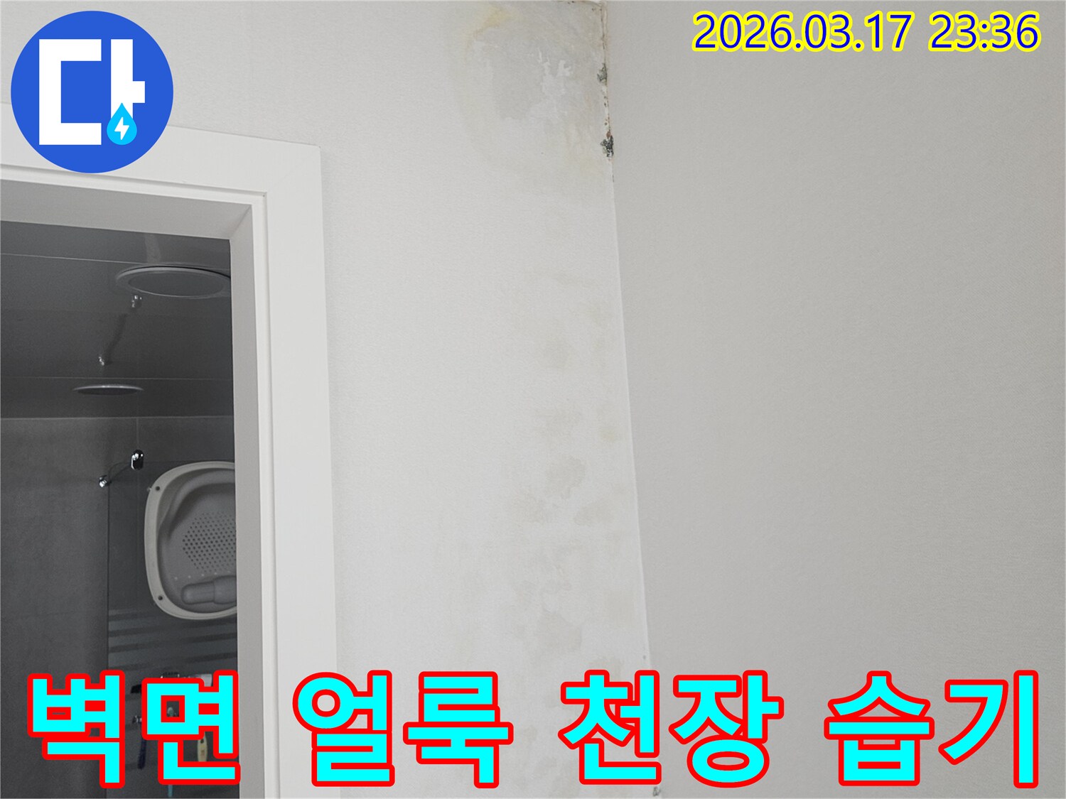 곰팡이와-함께-나타난-누수-징후